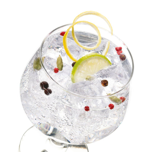Gin and Tonic 4 Spices Kit Gin Flavoring Spices Carmencita Gin Botanicals...
