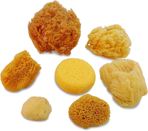 Natural Sea & Synthetic Sponges - Assorted Sizes 7pc Value Pack for Crafts & Artists: Great for Painting, Hobbies, Art, Effects, Ceramics, Clay, P...