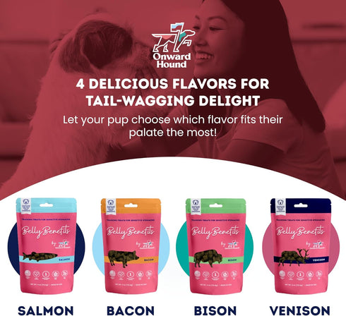 Training Treats for Dogs -Soft Salmon - Low Calorie Dog Training Treats for Sensitive Stomachs with Single Source Premium Protein, Corn Free, & So...