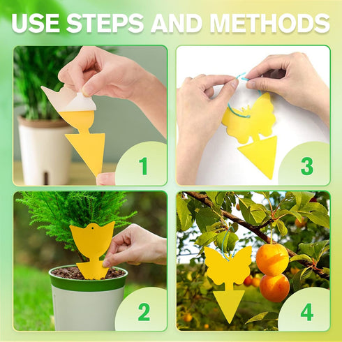 36 Pcs Combo Sticky Traps for Fungus Gnat (Plants), Flying Insect, Whitefly and Fly, Yellow Sticky Insect Catcher Traps for Indoor/Outdoor, Kitche...