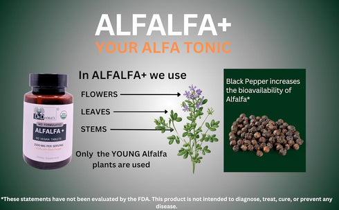 Alfalfa Plus, 1500 mg Per Serving, MD Formulated, Enhanced Bioavailability with Black Pepper, Superfood, Natural Chlorophyll Supplement, USDA Orga...