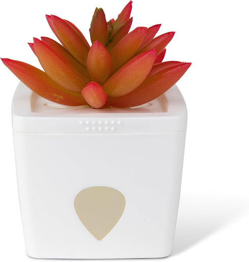 JT Eaton ZendoZones 1818-2JT Fruit Fly Trap Joyful Janet & Tranquil Tabitha, 2 Pack, White Base...