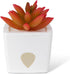 JT Eaton ZendoZones 1818-2JT Fruit Fly Trap Joyful Janet & Tranquil Tabitha, 2 Pack, White Base...