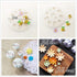 JeVenis Bumble Bee Cake Decoration Set - Bumble Bee & Daisy Flower Fondant Molds for Baby Shower & Gender Reveal Parties...