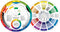 Cox Color Wheel-9.25-inch, 2.1 x 27.4 x 32.480000000000004 cm, Multicolor (133343)...