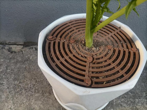 Yfan Plant Pot Gird with Center Hole Cuttable Plastic Gird Flower Cover Soil Protectors from Cats Dogs Digging Stopper Baby satety Plant Gird Cove...