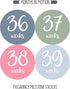 Pregnancy Weekly Belly Growth Stickers, 36 pcs - Purple Pink, Matte Finish, Cloth Surface, for Maternity Photo Sessions & Keepsakes...