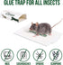 10 Pack Mouse Glue Trap, Peanut Butter Scent Sticky Traps, Heavy Duty Pest Board Insect Spider Mice, Extra Strength Trampas para Ratones Indoor fo...