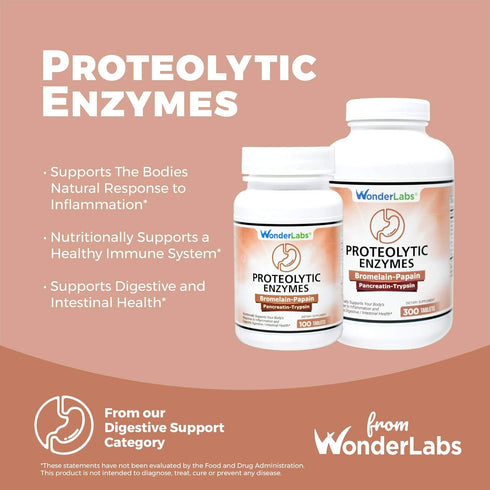 Proteolytic Enzymes | Bromelain Papain Pancreatin Trypsin 550 mg Total with Standardized Amylase, Lipase, and Protease, 300 tablets...