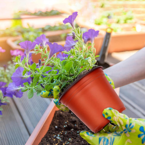 100 pcs 4-inch plastic plant nursery pots, reusable plant and flower nursery pots and starter pots (4-inch)...