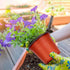 100 pcs 4-inch plastic plant nursery pots, reusable plant and flower nursery pots and starter pots (4-inch)...