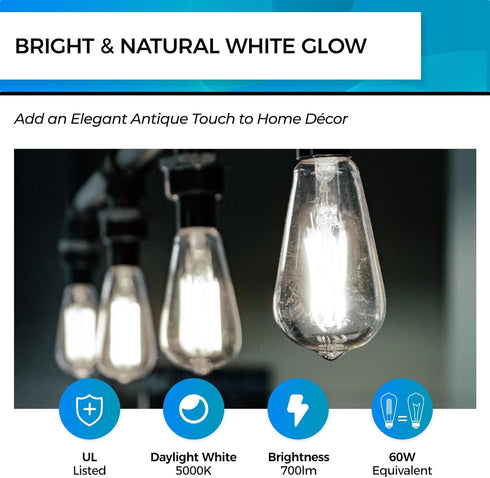 Hizashi LED Edison Bulbs, 6W, Equivalent 60W, Dimmable E26 LED Bulb, Daylight 5000K, 90+ CRI 700 Lumens, ST19 Vintage Light Bulbs, Clear Glass, Pa...