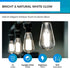 Hizashi LED Edison Bulbs, 6W, Equivalent 60W, Dimmable E26 LED Bulb, Daylight 5000K, 90+ CRI 700 Lumens, ST19 Vintage Light Bulbs, Clear Glass, Pa...