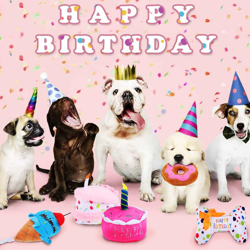 DoreenBow 5 Pack Dog Birthday Toys for Small Dogs Birthday Cake Squeaky Dog Toy Chew Toys Puppy Teething Toys Plush Birthday Box Gift for Dogs...