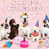 DoreenBow 5 Pack Dog Birthday Toys for Small Dogs Birthday Cake Squeaky Dog Toy Chew Toys Puppy Teething Toys Plush Birthday Box Gift for Dogs...