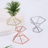 6 PCS Geometric Air Plant Holder Airplants Rack Metal Plants Stand, Airplant Stand Container Tillandsia Stainless Steel Display Racks, Wire Metal ...