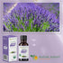 USDA Certified 100% Organic Lavender Essential Oil | Aromatherapy Diffuser, Therapeutic Grade, Non- GMO Verified, Beneficial for Skincare and Hair...