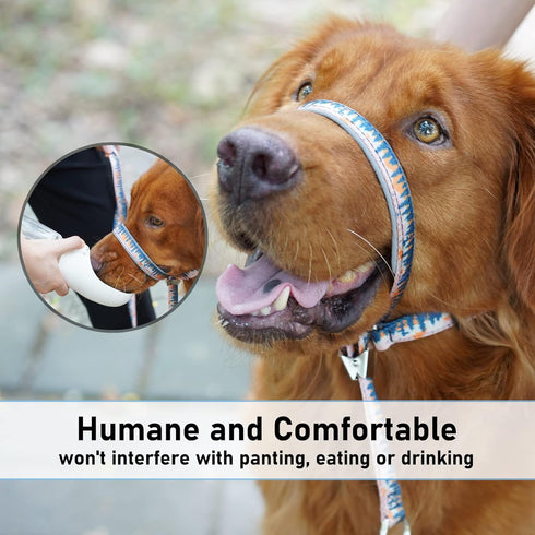 BARKLESS Dog Head Collar, Anti-Pulling Printed Head Halter with Leash, Gentle Head Harness with Adjustable Clip for Small Medium Large Dogs, Perfe...