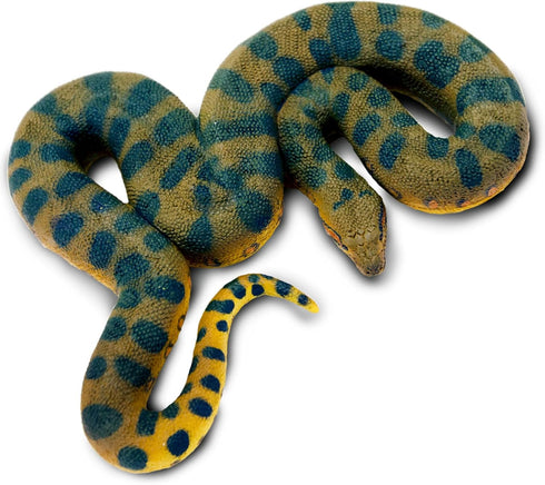 Safari Ltd. Green Anaconda Figurine - Detailed 6" Plastic Model Figure - Fun Educational Play Toy for Boys, Girls & Kids Ages 3+...