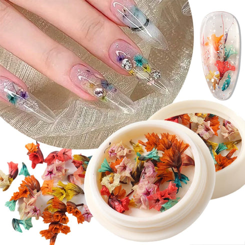 2 Boxes Dried Flower Nail Art Stickers Set Colorful Floral Nail Decals Spring Dry Flower Nail Stickers 3D Real Dried Flowers Nail Designs Stickers...