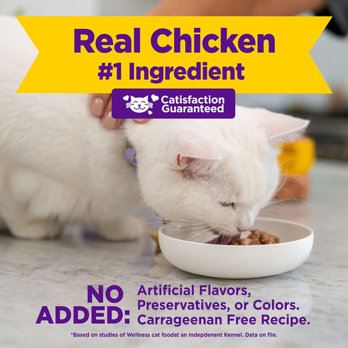 Wellness® Appetizing Entrées™ Mousse Chicken & Turkey Recipe Infused with Broth Natural Wet Cat Food, 1.4 oz Pouch (Pack of 8)...
