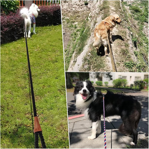 BTINESFUL Heavy Duty Rope Dog Leash 10 ft, Strong Dog Leash Soft Handle Dog Traction for Large Medium Dogs Hiking, Camping, Exploring, Walking(1/2...