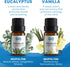 Everlasting Comfort Pure Essential Oils Set - Natural Aromatherapy Essential Oils for Diffuser, Humidifier, Home, Skin - Lavender, Geranium, Vanil...
