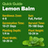 HOME GROWN Lemon Balm Seed Pack - 403 Non-GMO Heirloom Herbal Tea Seeds - Lemon Balm Seeds for Planting Herbal Tea Gardens Indoors or Outdoors - P...