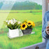 2Packs Window Shelf for Plants Indoor, 12inch Acylic Clear Floating Wall Shelf Decor, Window Sill Extender for Flower Pots, Self-Adhesive Wall Han...