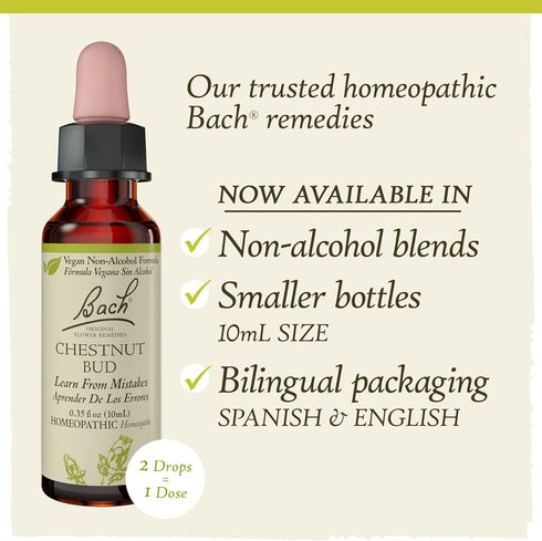 Bach Original Flower Remedies, Chestnut Bud for Learning from Mistakes (Non-Alcohol Formula), Natural Homeopathic Flower Essence, Holistic Wellnes...