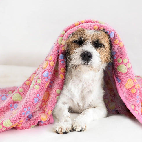 Comsmart Dog Blankets for Dog and Cat, Cute Paw Print Dog Bed Blanket, Soft Warm Fleece Throw Pet Blanket for Small Medium Large Dog, Puppy, Kitte...