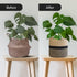 TIMEYARD Sturdy Jute Rope Plant Basket Modern Woven Basket up to 7.5 Inch Flower Pot Floor Indoor Planters, 8” x 8” Storage Organizer Basket Rusti...