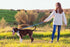 Reflective Dog Collar and Leash Set with Safety Locking Buckle Nylon Pet Collars Adjustable for Small Medium Large Dogs 3 Sizes(Navy Blue&M)...