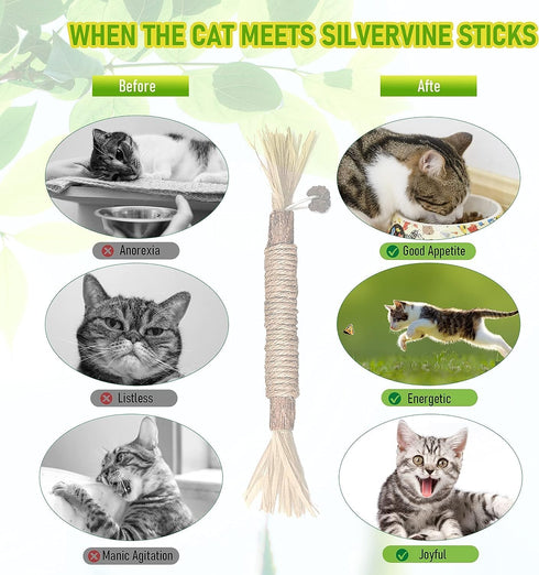 Kamanda Cat Toys, 8Pcs Silvervine Cat Toy, Silvervine Sticks Cat Toys for Indoor Cats, Cat Kitten Chew Toys for Aggressive Chewers, Cat Dental Toy...