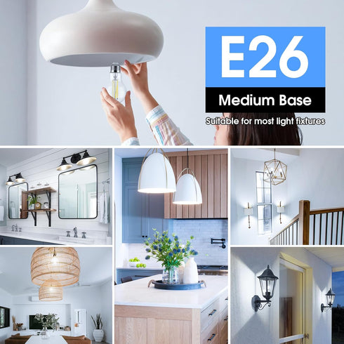 MAXvolador 60W Equivalent E26 LED Filament Light Bulbs, 850LM Daylight White 5000K LED Edison Bulb, Non-Dimmable 6W A19 LED Bulb Medium Base, 4-Pa...