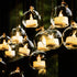 Hovico 12 Pcs Hanging Tealight Candle Hoder Glass Globes Terrarium, 2.36 Inches Diameter, Wedding Party Tree Decoration, Globe Ornament for Air Pl...