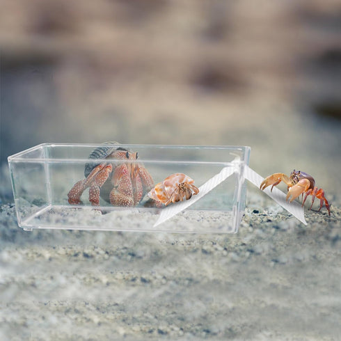 2 Pack Large Transparent Hermit Crab Water Tank with Climbing Ramp, Hermit Crab Aquarium Tank Cage Salt Water Pool Accessories, Hermit Crab Habita...