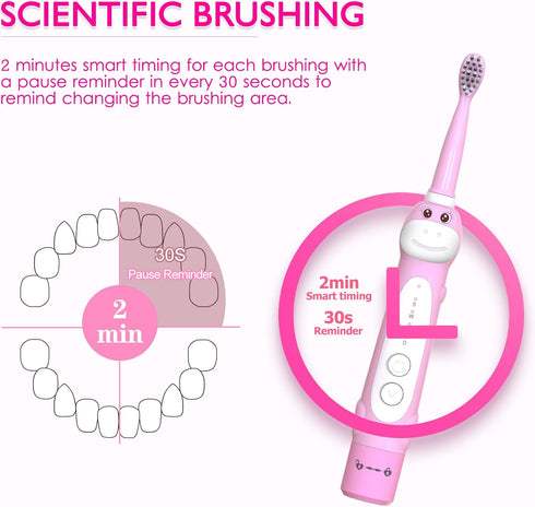 Dinosaur Toothbrush, Kids Sonic Electric Toothbrush for Children, Toddlers Boys Girls Age 3-12 with 30s Reminder, 2 Mins Timer, 5 Modes, 8 Brush H...
