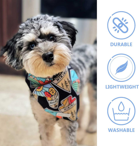 BARKLOOM Dog Bandana - Arizona Detour Set - Black & White Dog Outfit with Adventure & Cactus Themes - Elegant Dog Accessories for Your Beloved Pet...