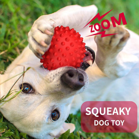 Apasiri Dog Balls Squeaky Dog Toys for Large Dogs, Dog Toys for Aggressive Chewers, Tough Spiky Dog Ball, Dog Ball, Floatable Rubber Pet Toys for ...