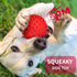 Apasiri Dog Balls Squeaky Dog Toys for Large Dogs, Dog Toys for Aggressive Chewers, Tough Spiky Dog Ball, Dog Ball, Floatable Rubber Pet Toys for ...