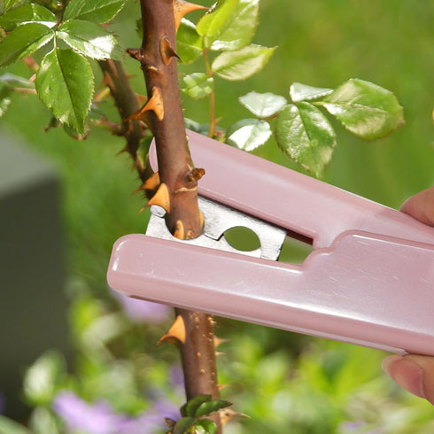Rose Thorn Stripper Tool for Flower Stripper Leaf Thorn Remover Outdoor Gardening Flower Arrangement Pliers...