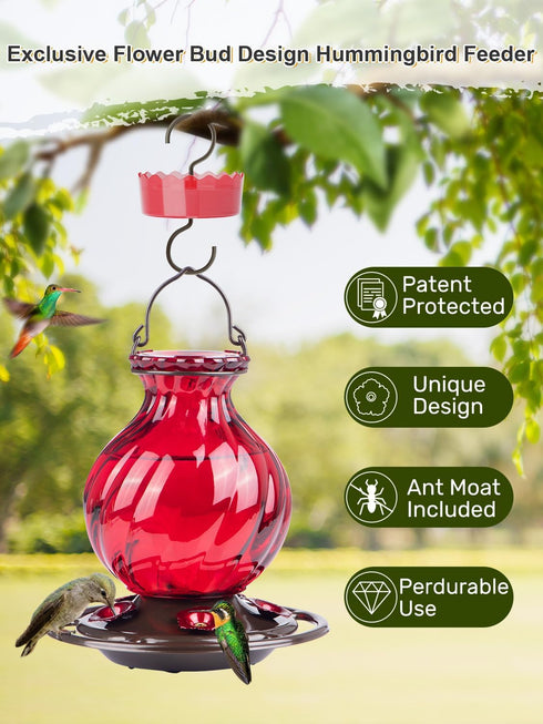 Hummingbird Feeder, Auslar 26 Ounces Glass Hummingbird Feeders for Outdoors Hanging Ant and Bee Proof, Ant Moat & 5 Flower Feeding Ports, Rustproo...