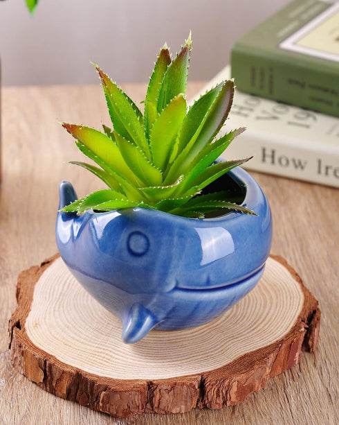 VanEnjoy 5" Ceramic Succulent Pot, Cute Ocean Blue Seashell Series, Conch Shaped Cactus Pot Planter, Flower Pot, Pottery Bonsai Pot (Dark Blue Wha...