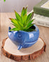 VanEnjoy 5" Ceramic Succulent Pot, Cute Ocean Blue Seashell Series, Conch Shaped Cactus Pot Planter, Flower Pot, Pottery Bonsai Pot (Dark Blue Wha...