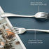SANTUO Stainless Steel Dinner Forks Set - 12PCS Salad Forks Silverware with Round Handle, Mirror Finish & Dishwasher Safe, Use for Home, Kitchen o...