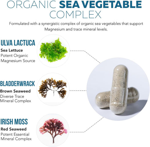 Organic Magnesium | Whole Food Magnesium - Plant-Based, Organic Sea Vegetable Complex - 250 mg Magnesium Per Serving | Water Extracted | Gentle on...