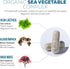 Organic Magnesium | Whole Food Magnesium - Plant-Based, Organic Sea Vegetable Complex - 250 mg Magnesium Per Serving | Water Extracted | Gentle on...