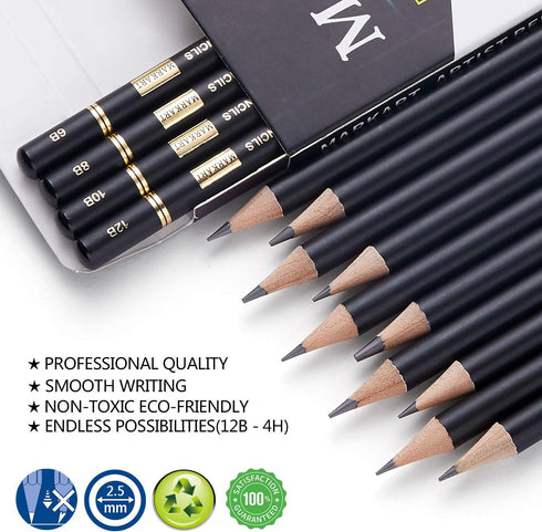 Professional Drawing Sketching Pencil Set - 14 Pieces,Graphite,(12B - 4H), Ideal for Drawing Art, Sketching, Shading, Artist Pencils for Beginners...