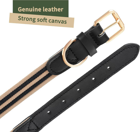 Mile High Life | Genuine Leather Dog Collar | Heavy Duty Canvas Dog Collars with Adjustable Rust-Proof Metal Pin Buckle | Boy Dog Collars for Larg...